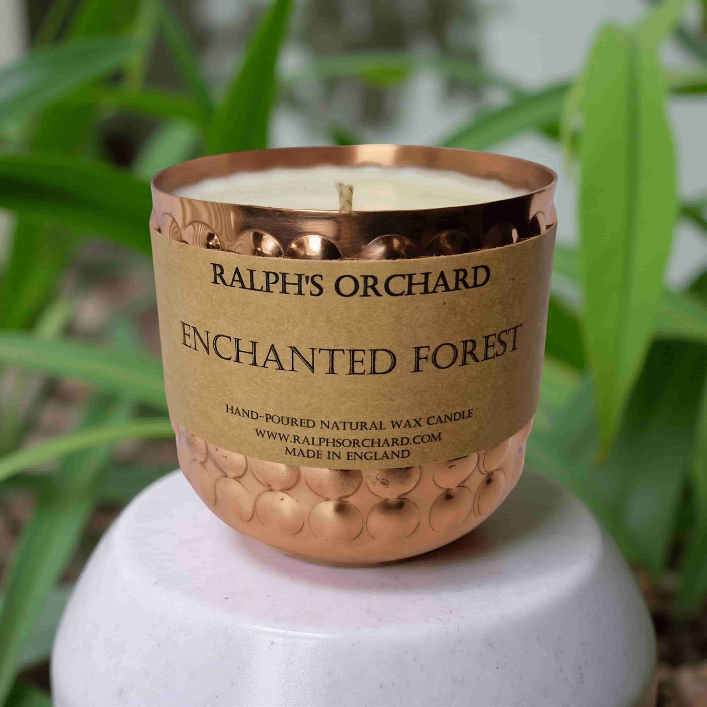 Enchanted Forest – Pine Tree Scented Candle-1