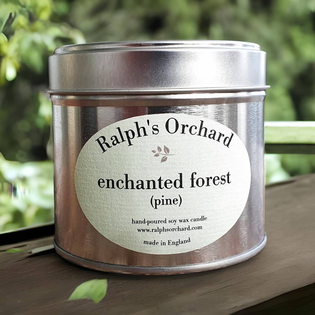 Enchanted Forest (Pine)-0