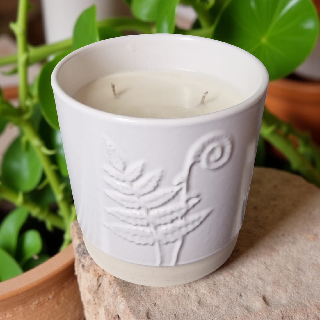 3-Wick Candle in White Ceramic Fern Pot | Velvet Tonka-1